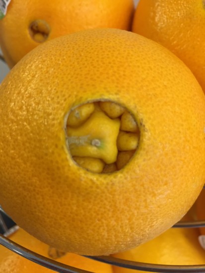 Meio medonhos esses buracos das laranjas